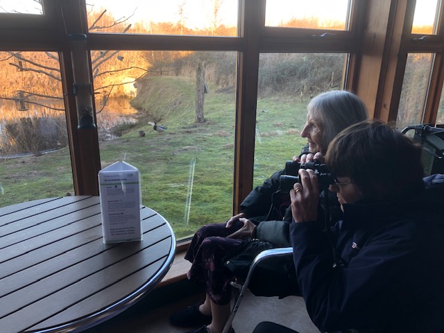 Eagle-eyed Cedrus House residents have a twitching good time for nationwide birdwatch